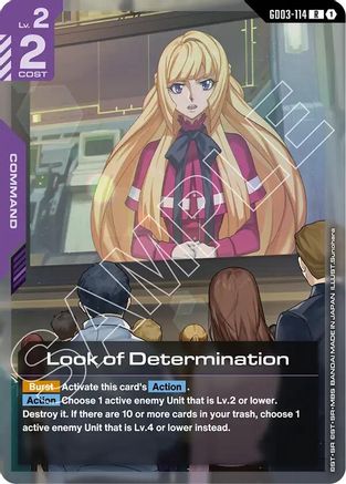 Look of Determination (GD03-114) - Steel Requiem Holofoil